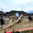 양평양떼목장 이미지