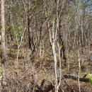 뒷동산농원 이미지