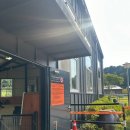 오렌지 애견 클럽 이미지