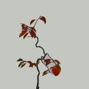 청암공원 이미지