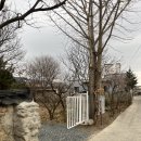 순금재 | 경주 한옥스테이 감성숙소 순금재 (방 3개, 화장실 2개, 6인 숙소)