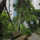 숭의쌈밥 | 숭의동 맛집 숭의쌈밥