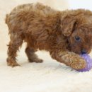 (주)아이토이 이미지