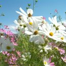 달성요양병원 이미지