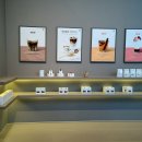 커맨드 커피 로스팅 이미지