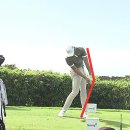 골프챔프 이미지