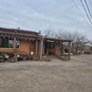 청국장과 생선구이 | 아일랜드CC 라운딩 전 추천 맛집, 대부도 벚나무집 청국장과 생선구이 후기!