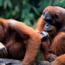 우리는깐부잖아 이미지