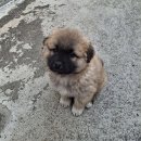 산골짜기 이미지