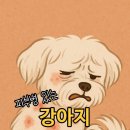 이을동물병원 이미지