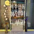 제주미의원 이미지