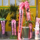 성광 공인중개사사무소 이미지