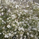 하양농업협동조합 이미지