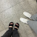 어그 골든게이즈 슬라이드 블랙] 26SS 어그 골든게이즈 슬라이드 후기ㅣ어그 여름 슬리퍼(1666105525) 후기