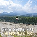 성산약수 | 제주도 억새 명소 산굼부리 제주 억새밭 절정 시기 11월 여행 후기