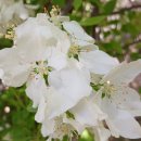 진짜 정부24!! &#34;지귀연 버틴다&#34; 남세진 판사 주목! 석열 흙빛 젤 썩은이유ㄷㄷ (건희 특검, 이준석 적시) 이미지