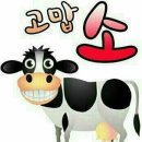 고맙소 - 달서구 | 고맙소