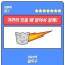 누나버거 이미지