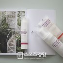 클리어 스포츠경향