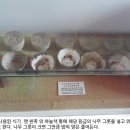 유봉천 이미지