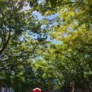 병방공원 이미지