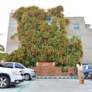 대봉1동행정복지센터 4층 이미지