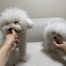 름이상점 이미지