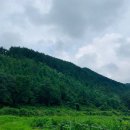 대흥임업 - 1262 | 대흥임업