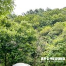 홍천캠핑장 추천 계곡 깨끗하고 울창한 숲 속 검산별빛캠핑장