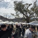 도담마켓 | 경주 월드킹 플리마켓 도담마켓 후기