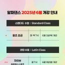 라인댄스낮반 Daum카페