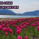 형산강북로 이미지