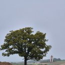 강남-071 | [일본] 삿포로 3박4일 가족여행 _2일차(유투어버스/청의 호수/흰수염폭포/사계채언덕/비에이역/타쿠미야...