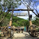 THATS CAMPING 횡성자연휴양림야영장 이미지