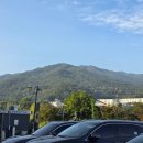 옥녀봉공원 | 내 체력을 확인한 청계산 옥녀봉 등반 성공 짧은 후기