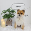 루앤오 이미지