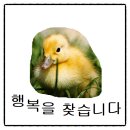 시니어 모델과정(야간) | 2025. 5. 24. 토) 남편 &lt;시니어모델대회&gt; 특훈 스토리, #도봉구청시니어모델교육