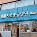 서울동물병원 앞 이미지