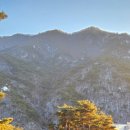 동해대로 이미지