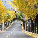 기독병원길 이미지