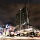 모모야마무궁화 이미지