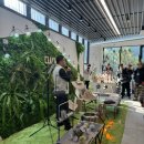 팀크레모아 이미지