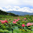 황산공원 캠핑장 일반사이트 이미지