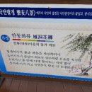 교촌천 네이버블로그