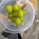 동트는빵집 | 나는 BL을 꿈꾼다