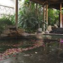 백련스파 이미지