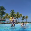 가야 1 | 코타키나발루 여행 후기 마지막날 - 가야선데이마켓부터 반딧불투어까지 완벽 코스