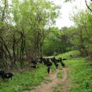 풀먹는흑염소목장 이미지