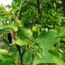 설악농장 이미지