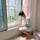 이레카써비스 | 8월 주간일기 #1 맥북 로직보드 고장에 대하여...